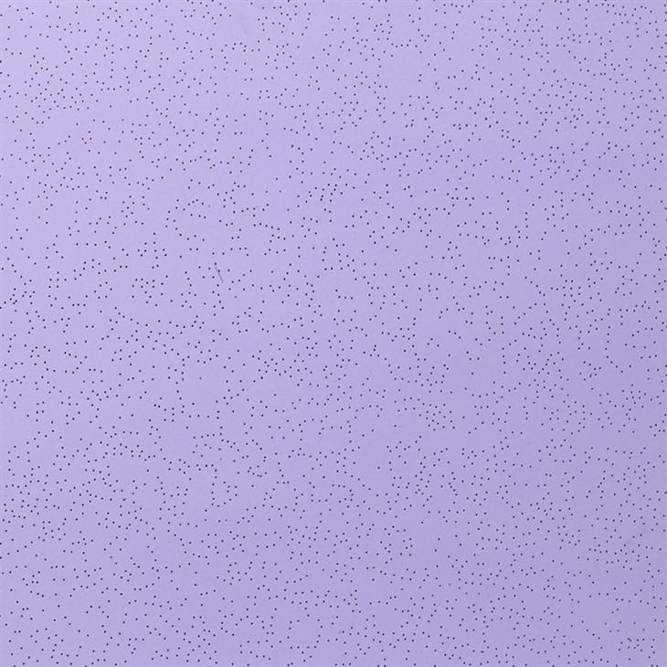 _0002s_0026_F20A2098(001)